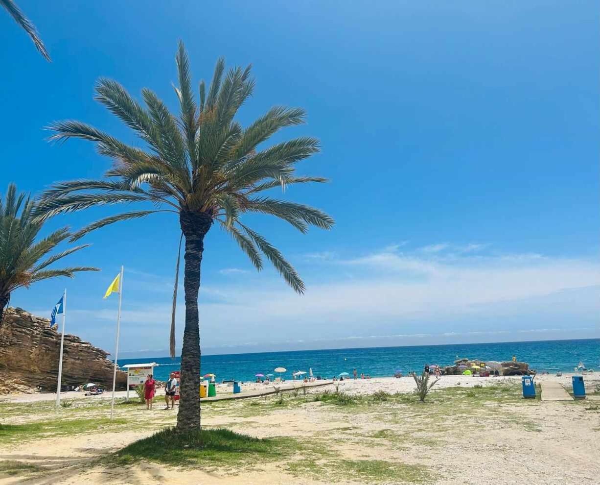 Sol Mediterraneo Palm Beach 3 Villajoyosa Exterior photo